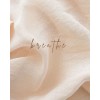 text - Texte - 