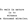 text - Teksty - 