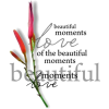 text - Textos - 