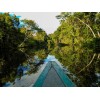 the amazon river - Nature - 