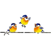 three little birds - 動物 - 