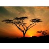 african sunset - Ozadje - 