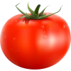 tomato - Frutas - 