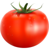 tomato - Owoce - 