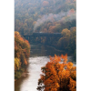 train over the river in autumn - 自然 - 