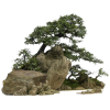 tree - Natura - 