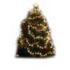 Christmats tree Božićno drvce - Biljke - 