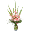 Cvijeće / Flowers - Pflanzen - 