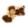 Kovanice / Coins - Objectos - 