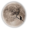 Moon - Ilustracje - 