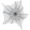 Paukova mreža / Spider net - Ilustrationen - 