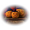 Pumpkin - Ilustracje - 
