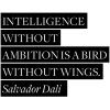 Salvador Dali - Texts - 