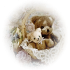 Teddy bears  - Objectos - 