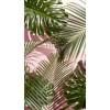 tropical background - Tła - 