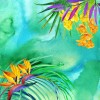 tropical background - Fondo - 
