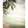 tropical background - Фоны - 