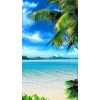tropical background - Fondo - 
