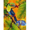tropical bird - Uncategorized - 