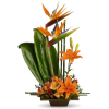 tropical flowers - Priroda - 