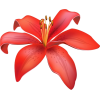 tropical flowers - Natural - 