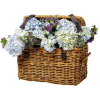 tubes fleurs panier - Biljke - 