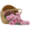 tubes fleurs panier corbeille - Rośliny - 