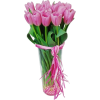 tulipany - 植物 - 