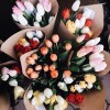 tulips - Mis fotografías - 