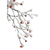 Twig Plants White - Piante - 