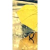 umbrella - Uncategorized - 