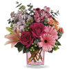 vase flower - Rastline - 