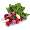 vegetables - Legumes - 