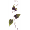 vine - Plants - 