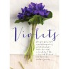 violet - Plantas - 