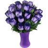 violet - Plants - 