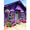 violet - Gebäude - 
