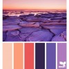 violet - Illustrations - 