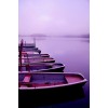 violet - Fundos - 