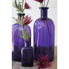 violet - Items - 