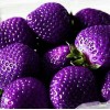 violet - Frutas - 