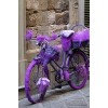 violet - Vehicles - 