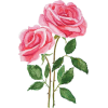 watercolor flowers - Rastline - 