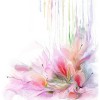 watercolor flowers - 背景 - 