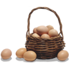 Basket of Brown Eggs - イラスト - 