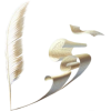 Bird feather Pero - Items - 