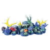 Blue Coral - Растения - 