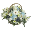 Boy Flower Basket - Plants - 