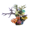 Colorful Coral - Растения - 