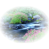 Creek Potok - Natural - 